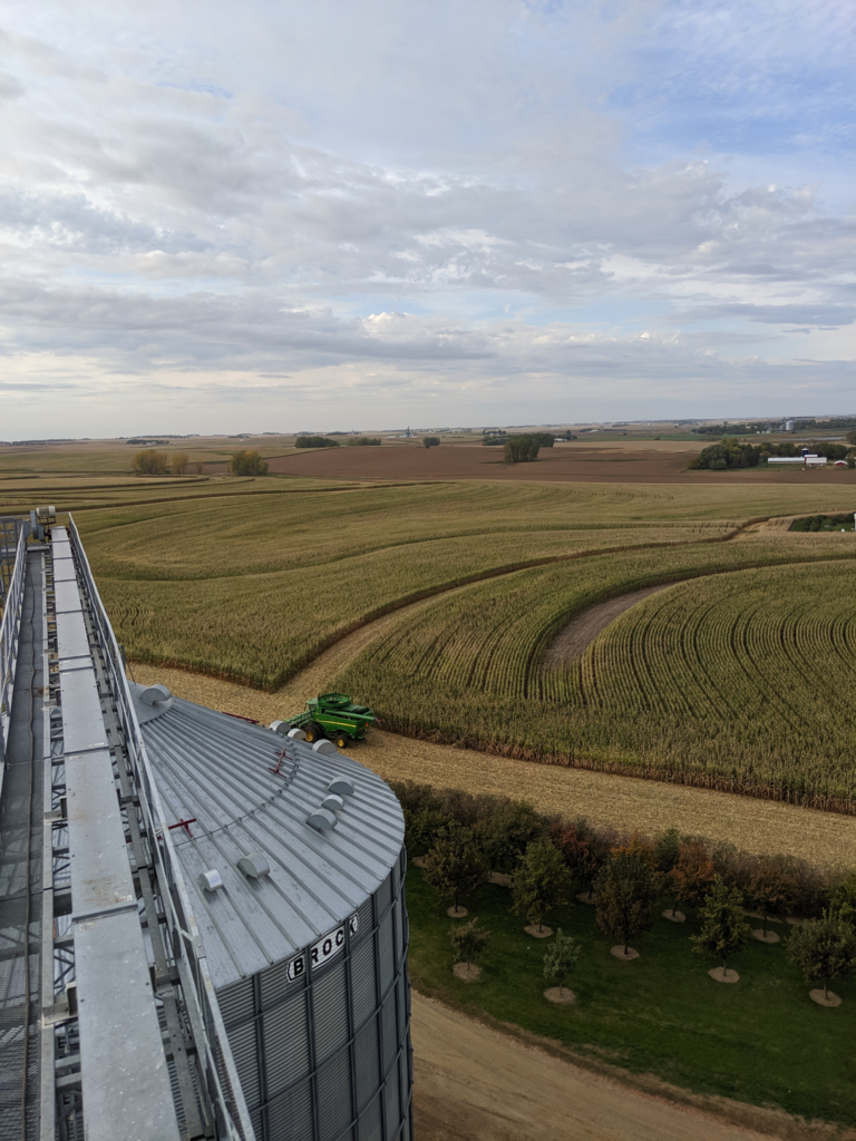 About Mogler Farms | Grain Elevator, Cattle, & Pigs in Alvord, IA